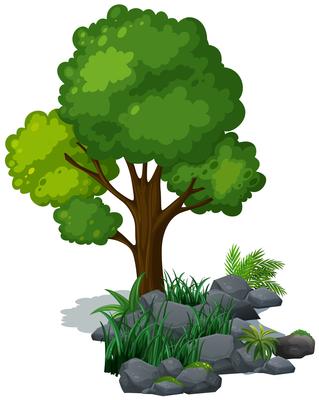 Gruner Baum Und Gras Auf Den Felsen Download Kostenlos Vector Clipart Graphics Vektorgrafiken Und Design Vorlagen