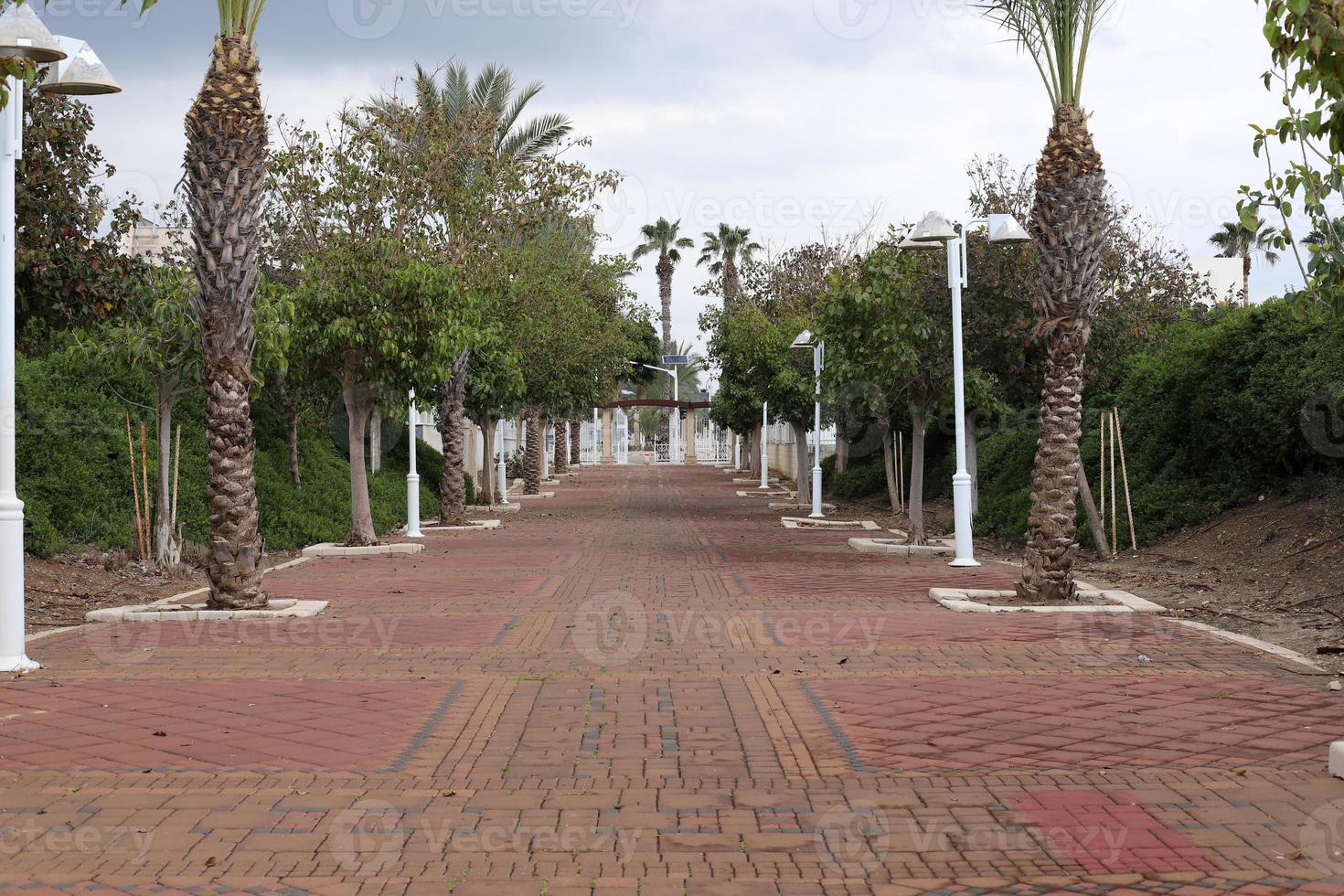 route pour se promener dans le parc de la ville. photo