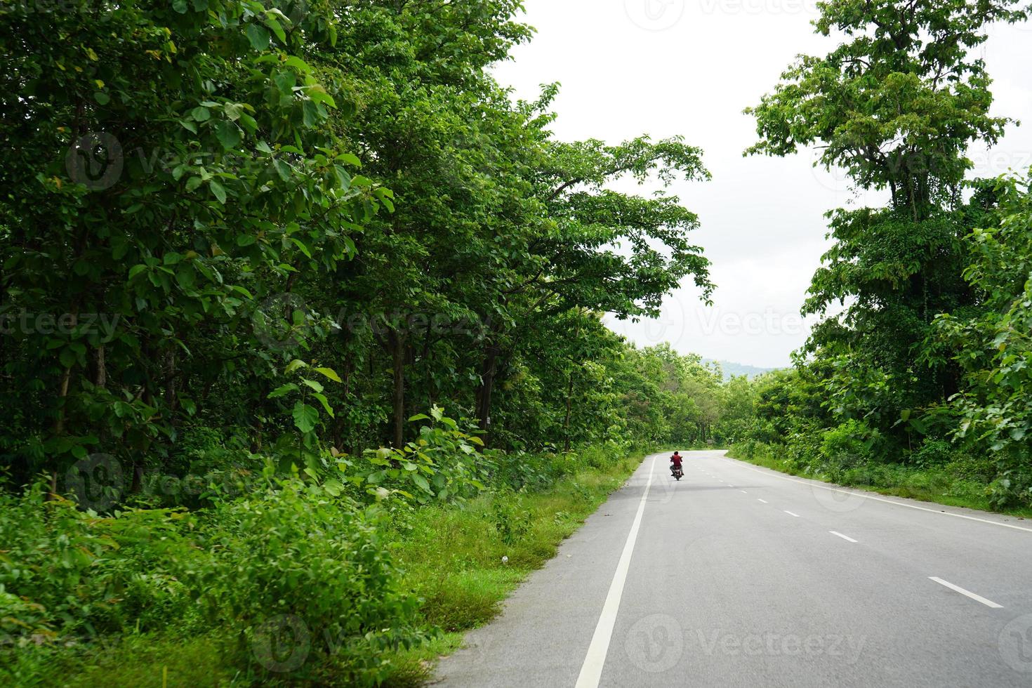 propre longue route vers daringbadi avec vue sur la verdure d'odisha photo