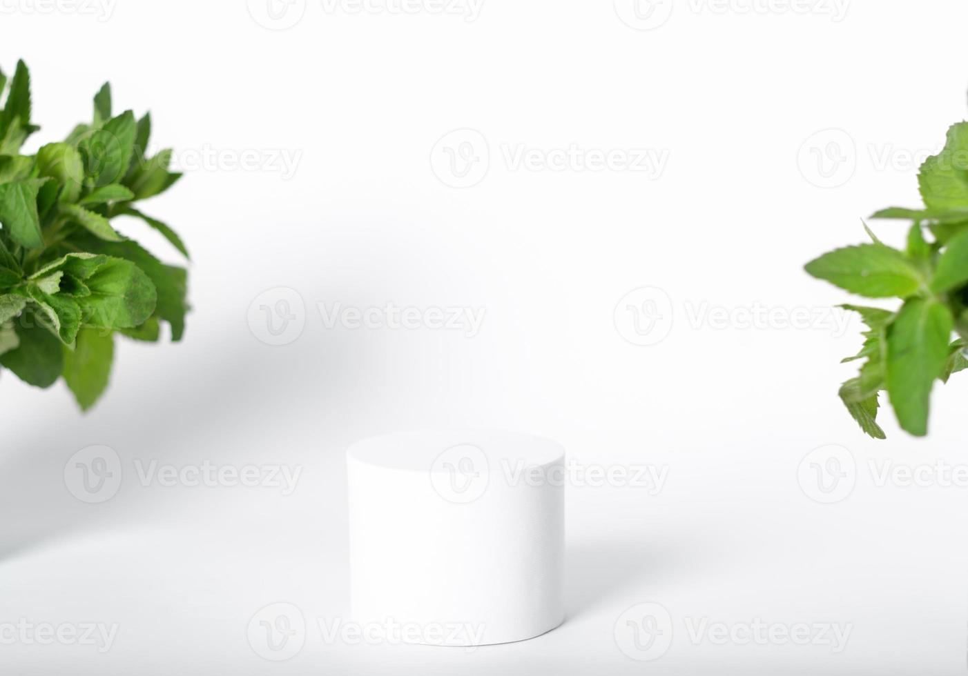 podium ou piédestal géométrique de vitrine de style minimal pour la présentation du produit. fond blanc avec des feuilles vertes de plantes. maquette de soins personnels éco-cosmétique ou naturelle photo