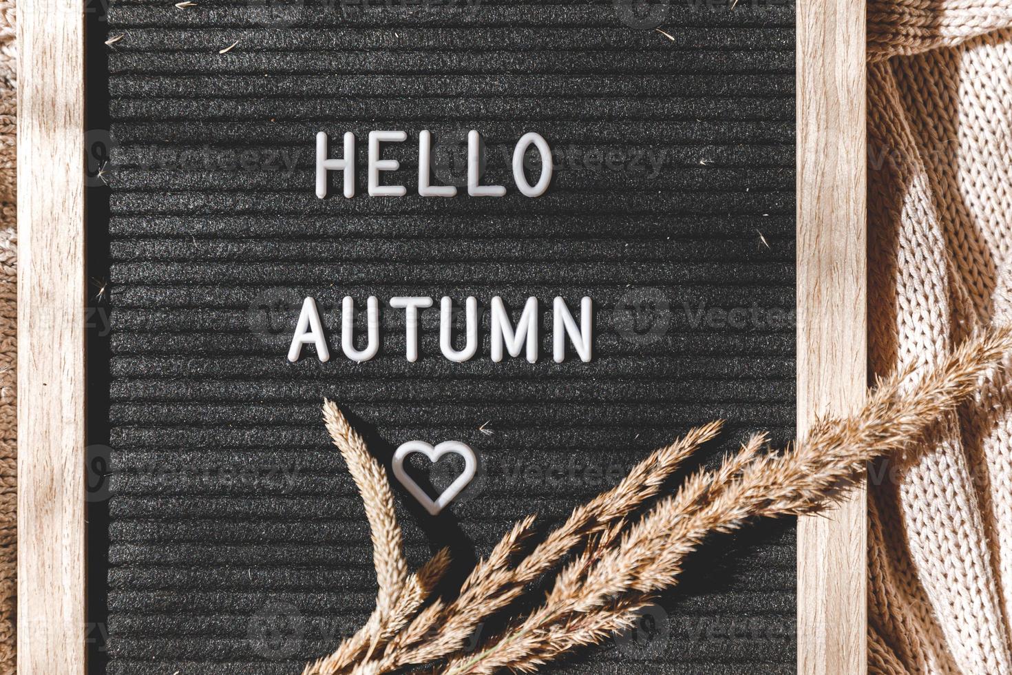 fond automnal. tableau à lettres noir avec phrase de texte bonjour automne et herbe séchée allongée sur un pull en tricot blanc. vue de dessus, mise à plat. bannière d'action de grâces. concept de temps froid d'humeur hygge photo