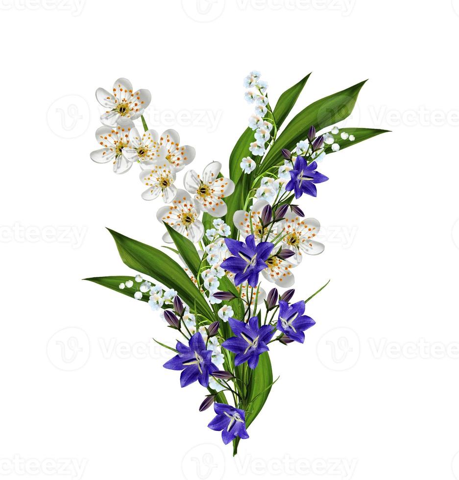 branche de fleurs de cerisier isolé sur fond blanc. photo