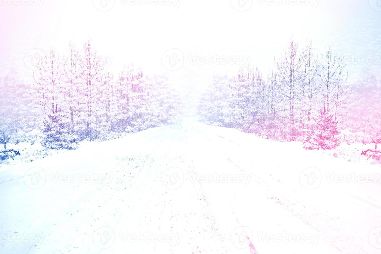 arbres dans la neige. route dans la forêt d'hiver. photo