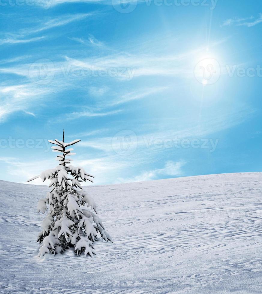 paysage d'hiver. carte de Noël. photo