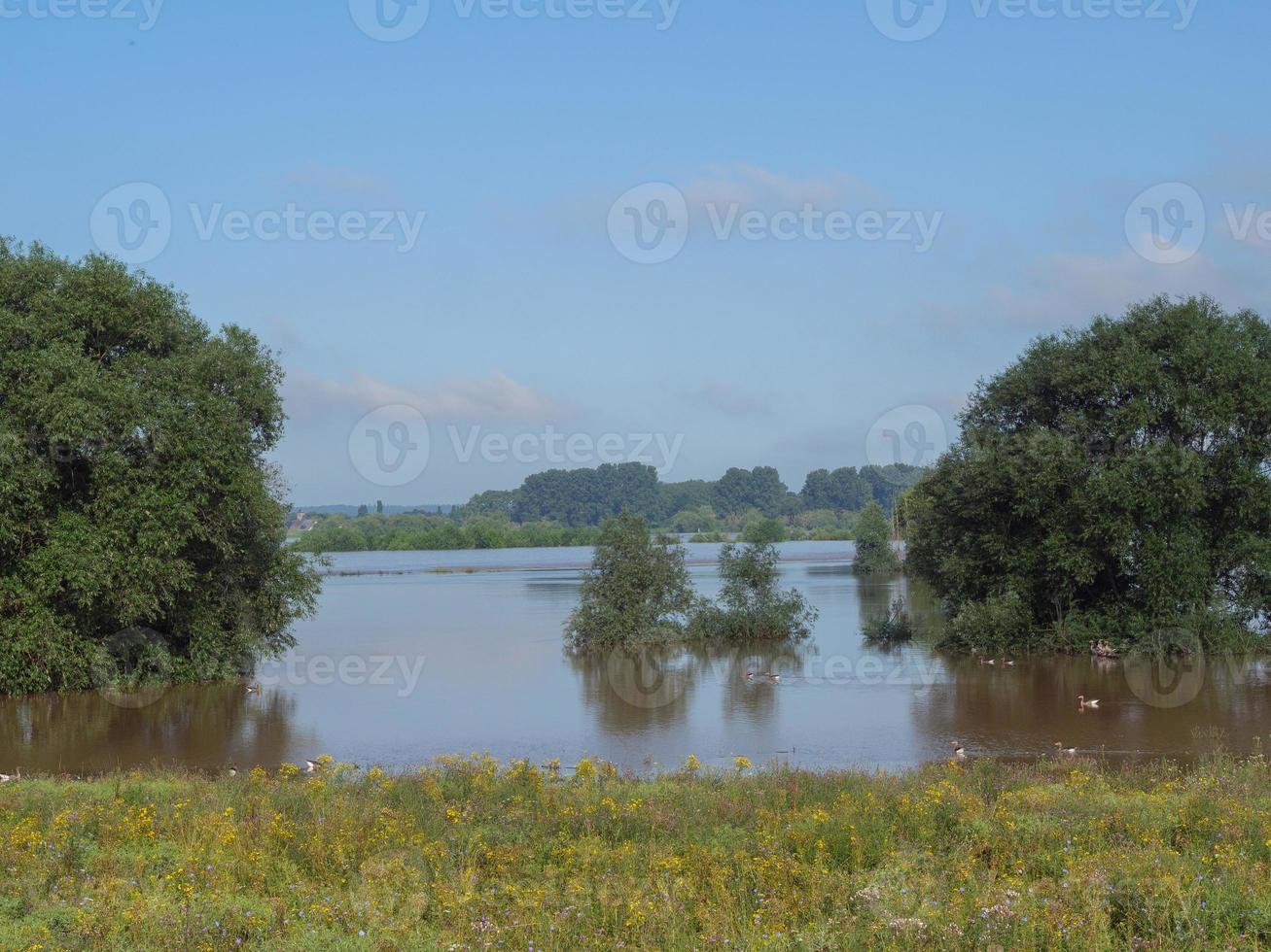 le rhin près de bislich photo