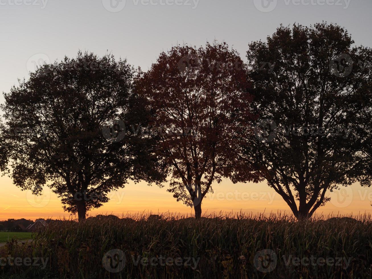 coucher du soleil dans le muensterland allemand photo