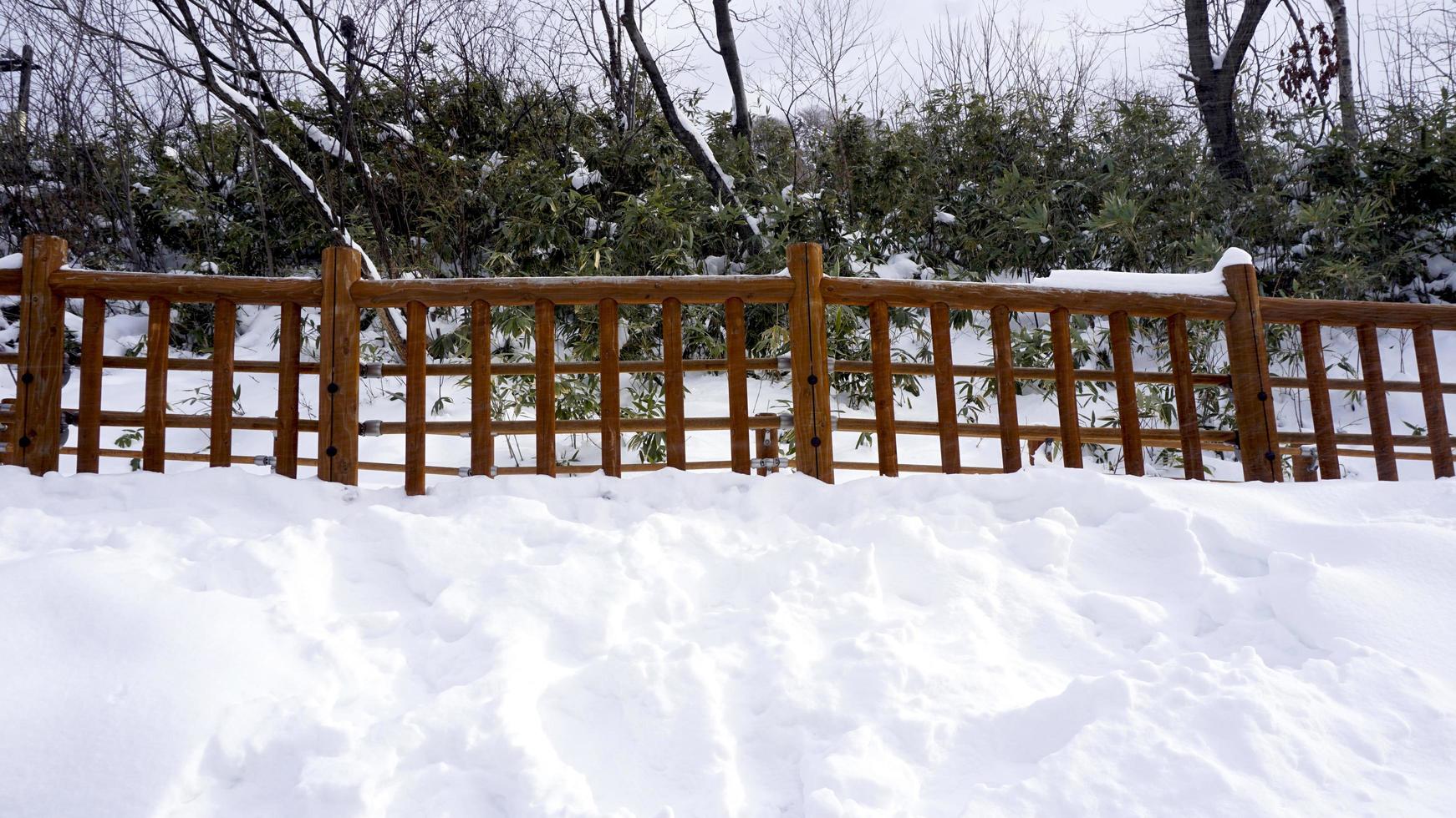 passerelle de neige et garde-corps en bois dans la forêt noboribetsu onsen photo