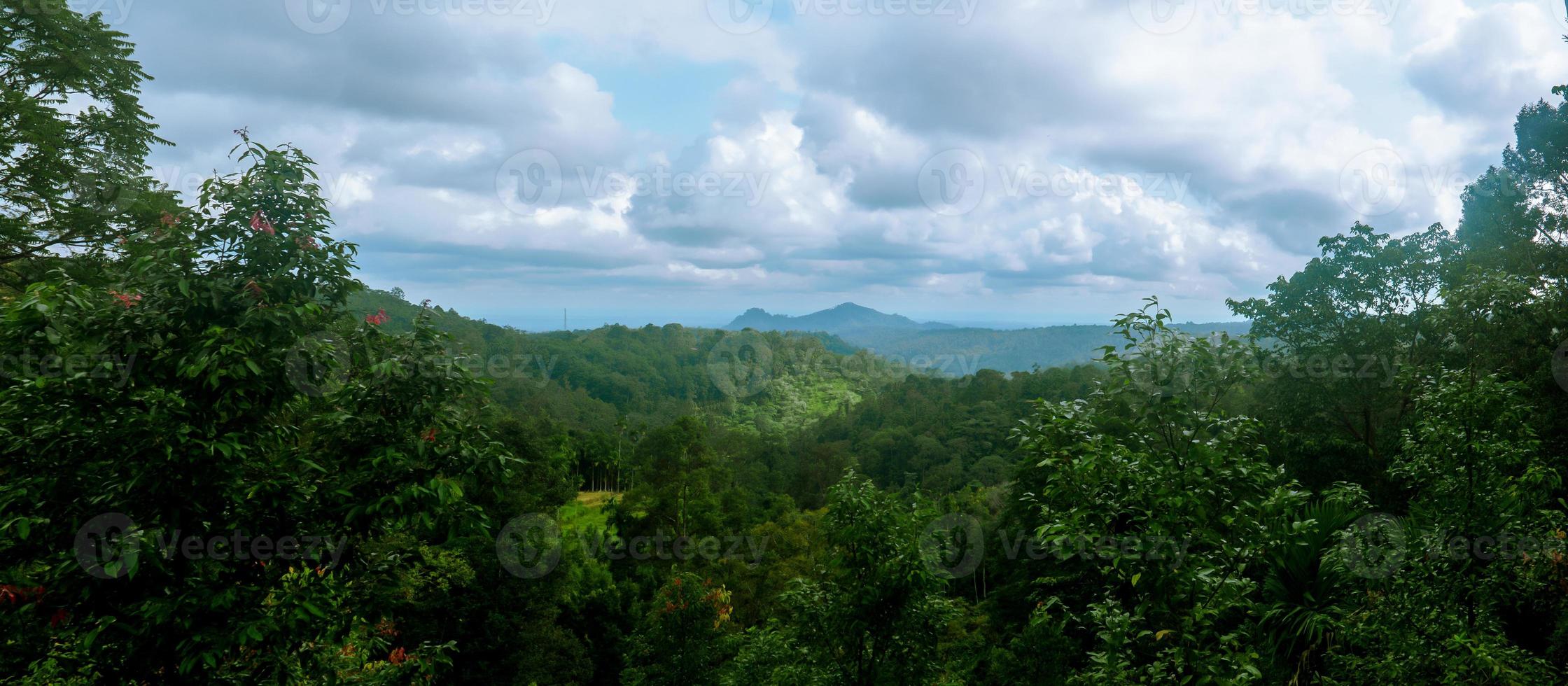 paysage panoramique de forêt avec ciel nuageux photo