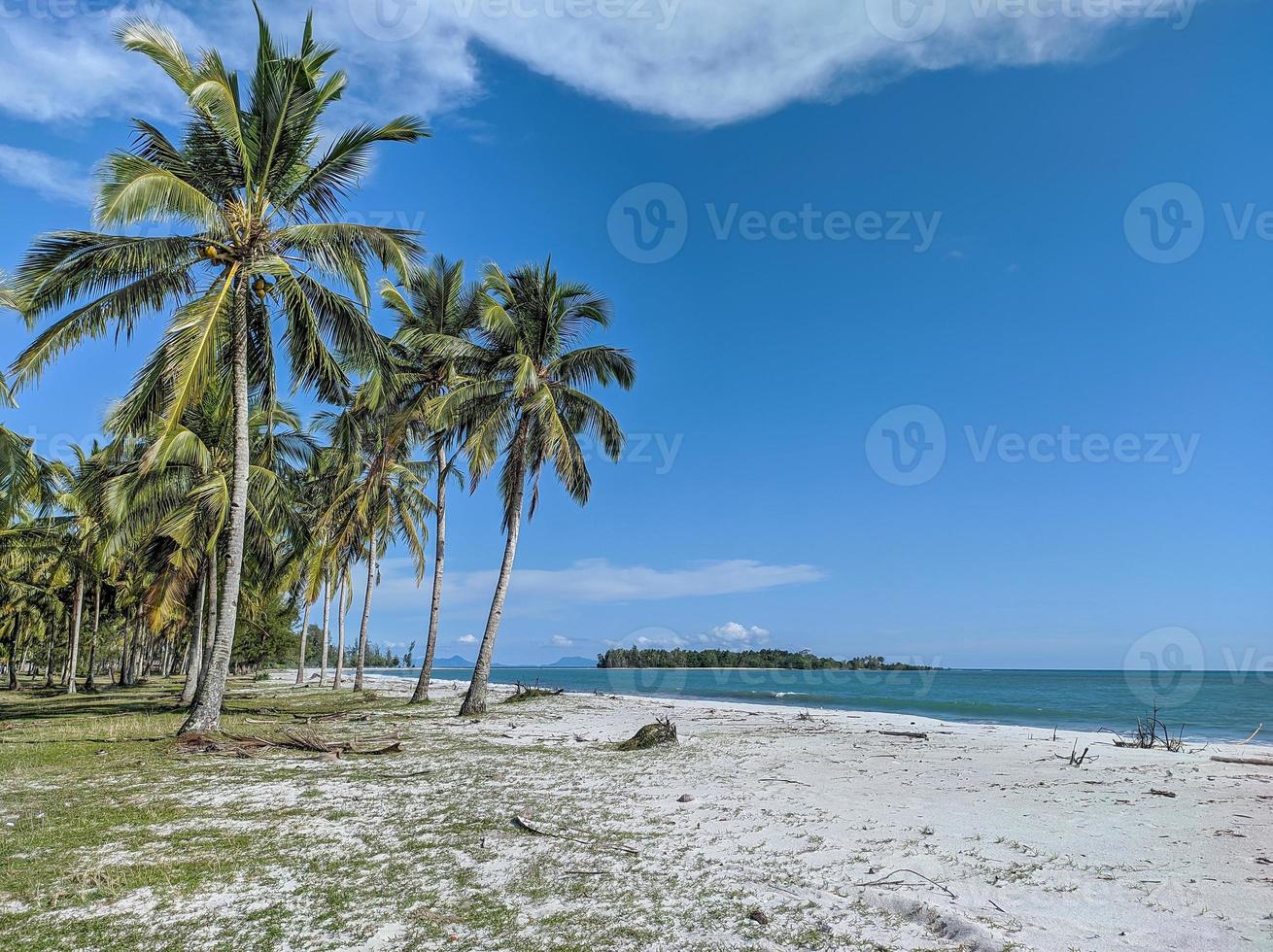 belle vue sur la plage par une journée ensoleillée, mer et ciel bleus, cocotiers, herbe verte et sable photo