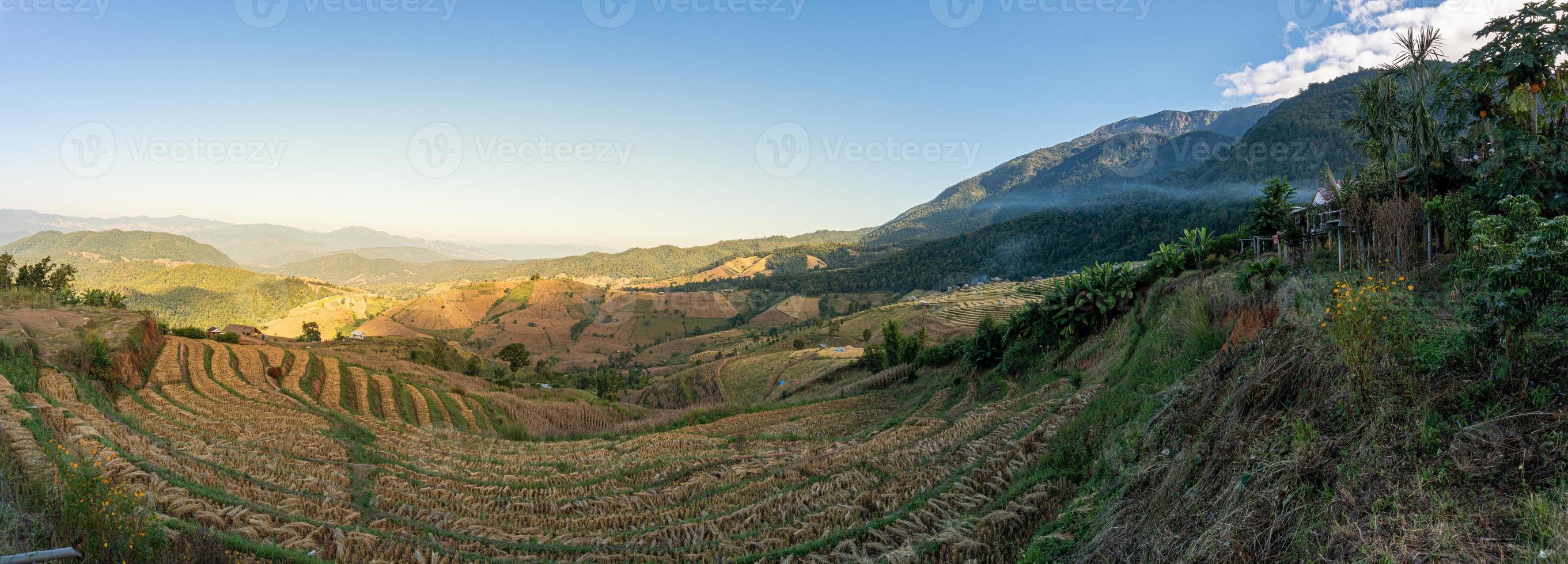 Champ de riz après la récolte, ban bong piang, Chiang Mai, Thaïlande photo