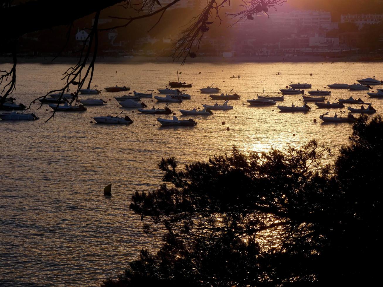 rétro-éclairage de bateaux de sport au mouillage dans une baie photo