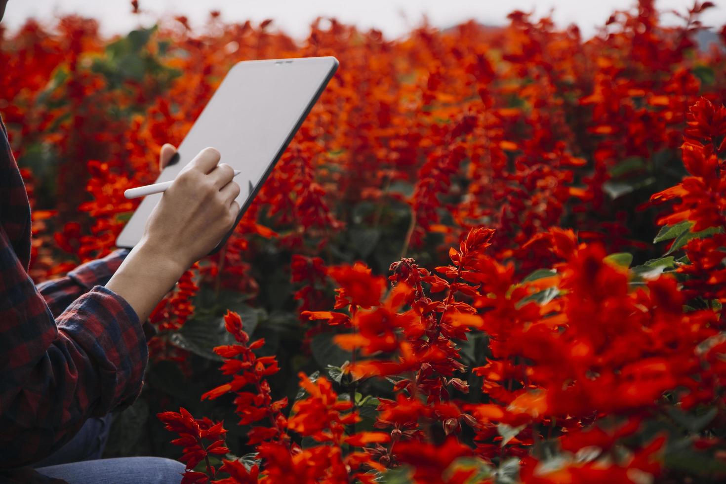 technologie agricole agricultrice tenant une tablette ou une technologie de tablette pour rechercher des données d'analyse de problèmes agricoles et une icône visuelle. photo