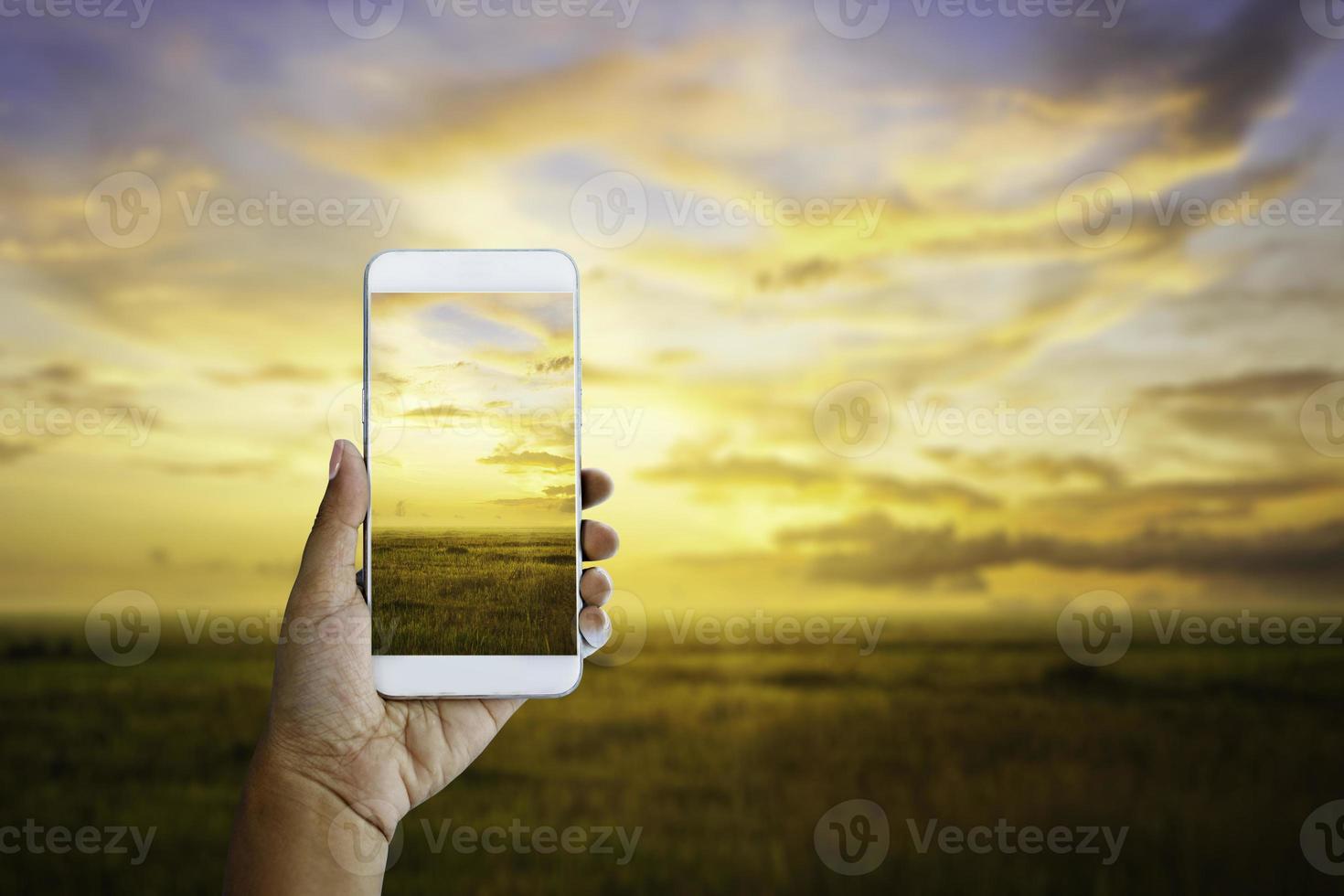 main tenir smartphone et paysage coucher de soleil photo