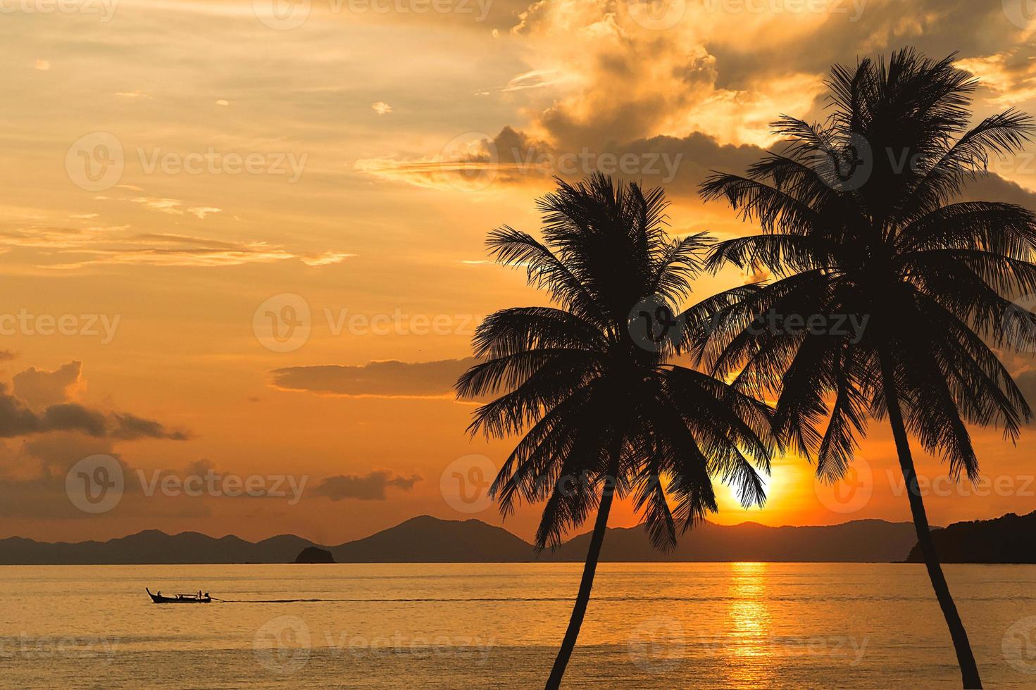 palmier tropical et fond d'été coucher de soleil sur la mer photo