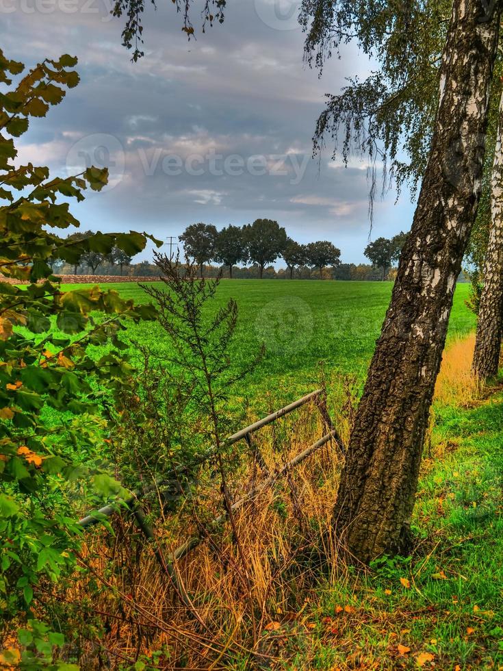 temps d'automne en westphalie photo