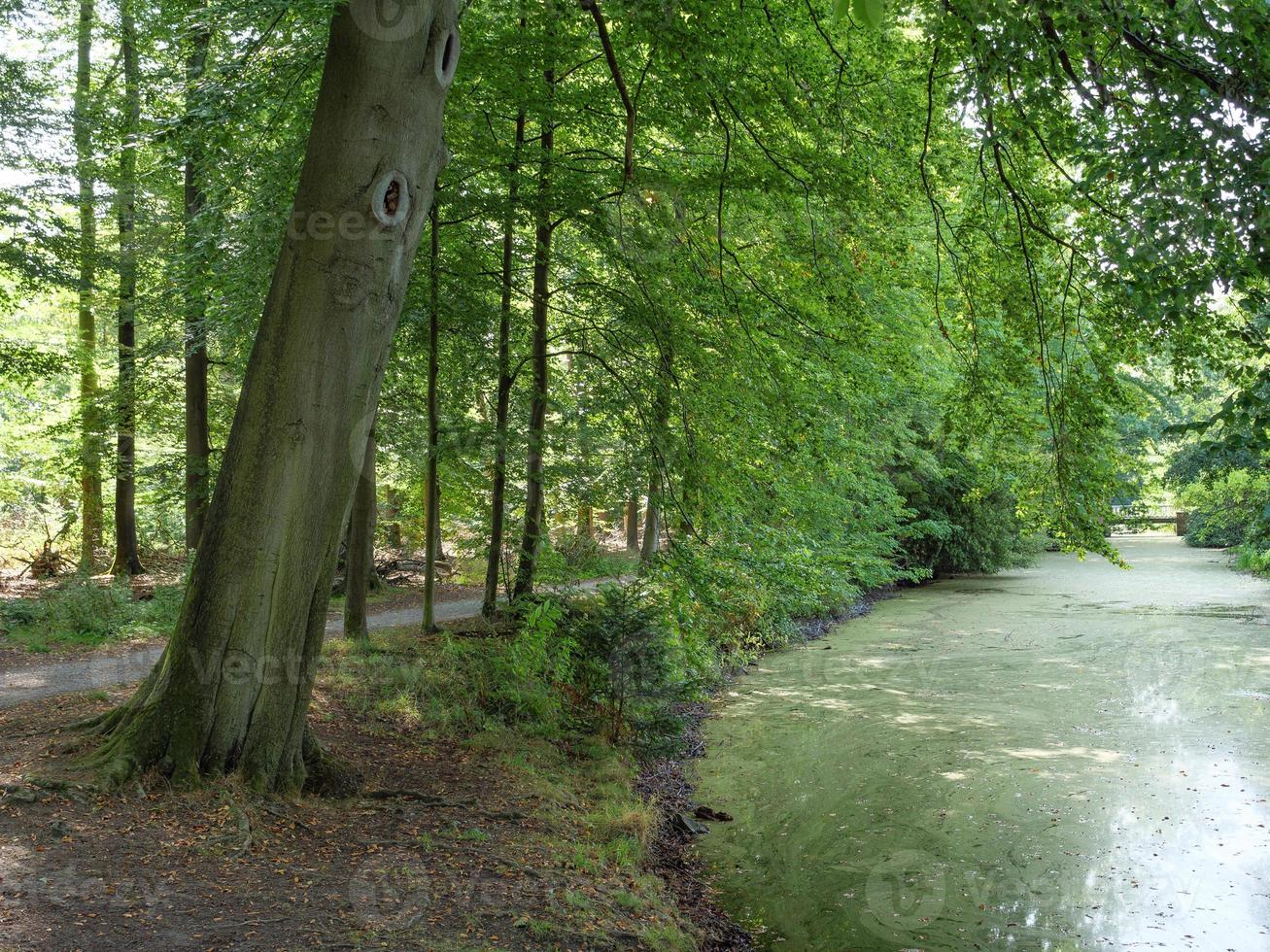 la ville de legden en westphalie photo