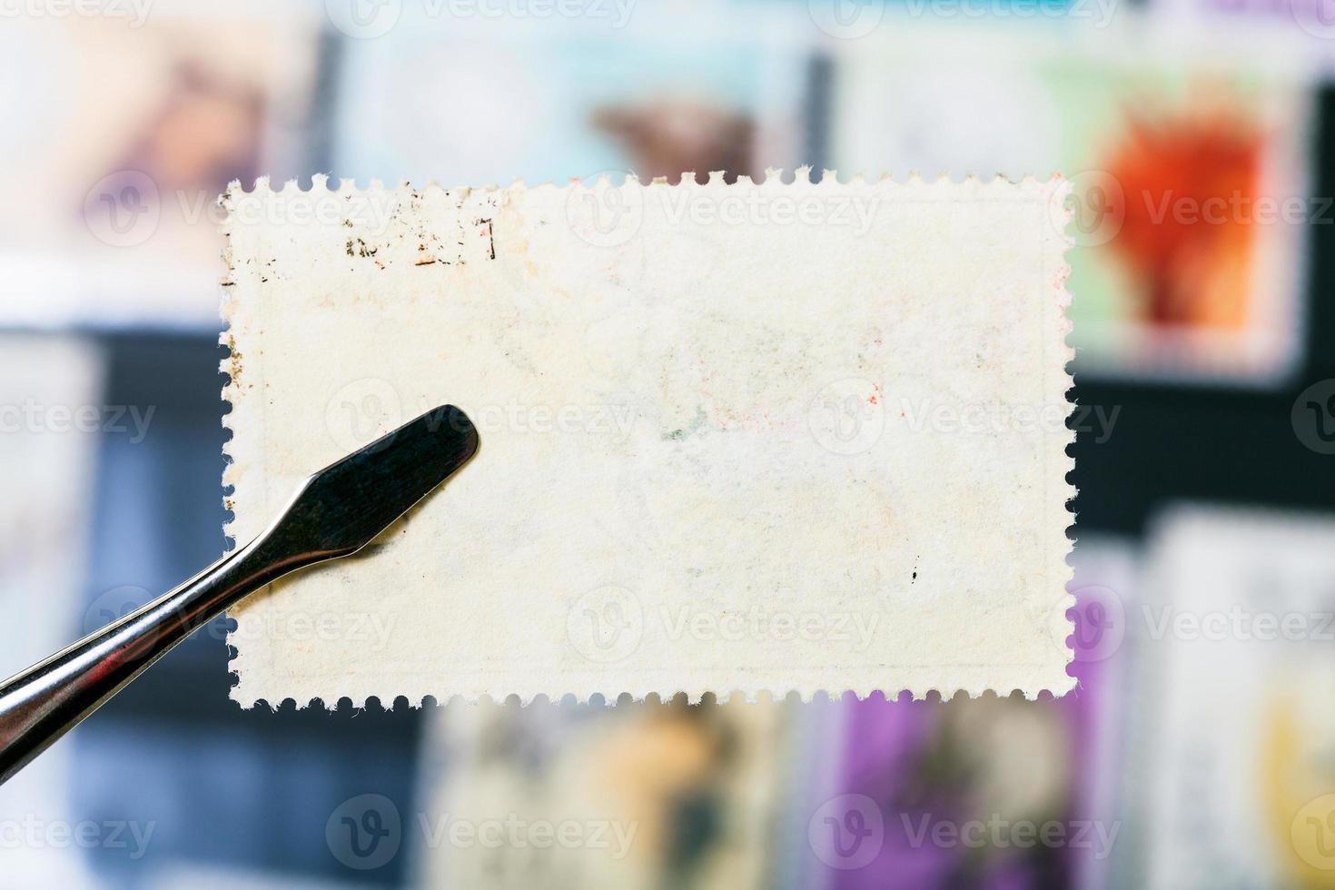 les pinces tiennent le timbre-poste avec le verso inutilisé photo