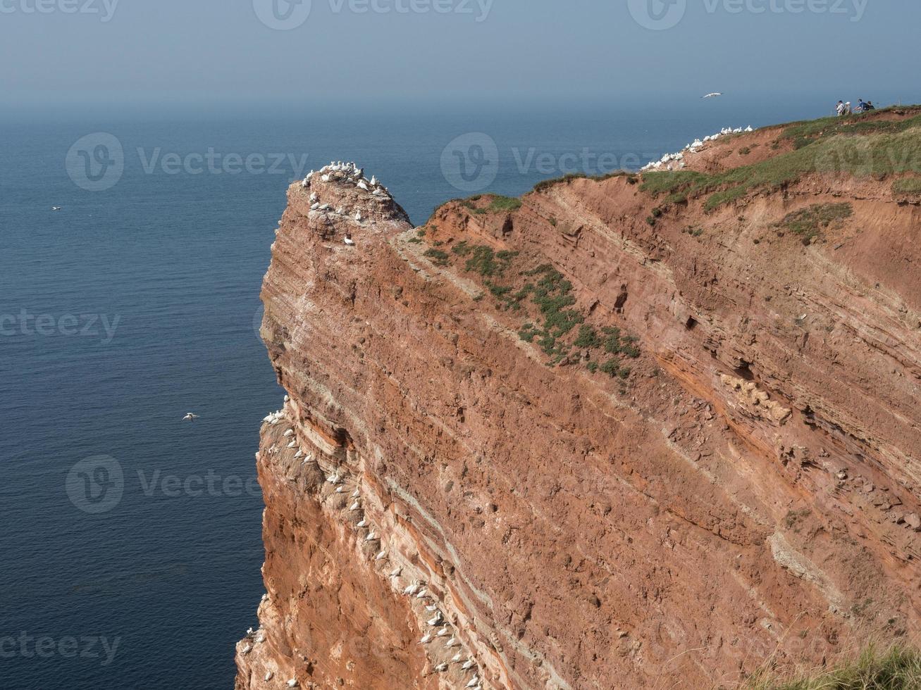 île de helgoland dans la mer du nord photo