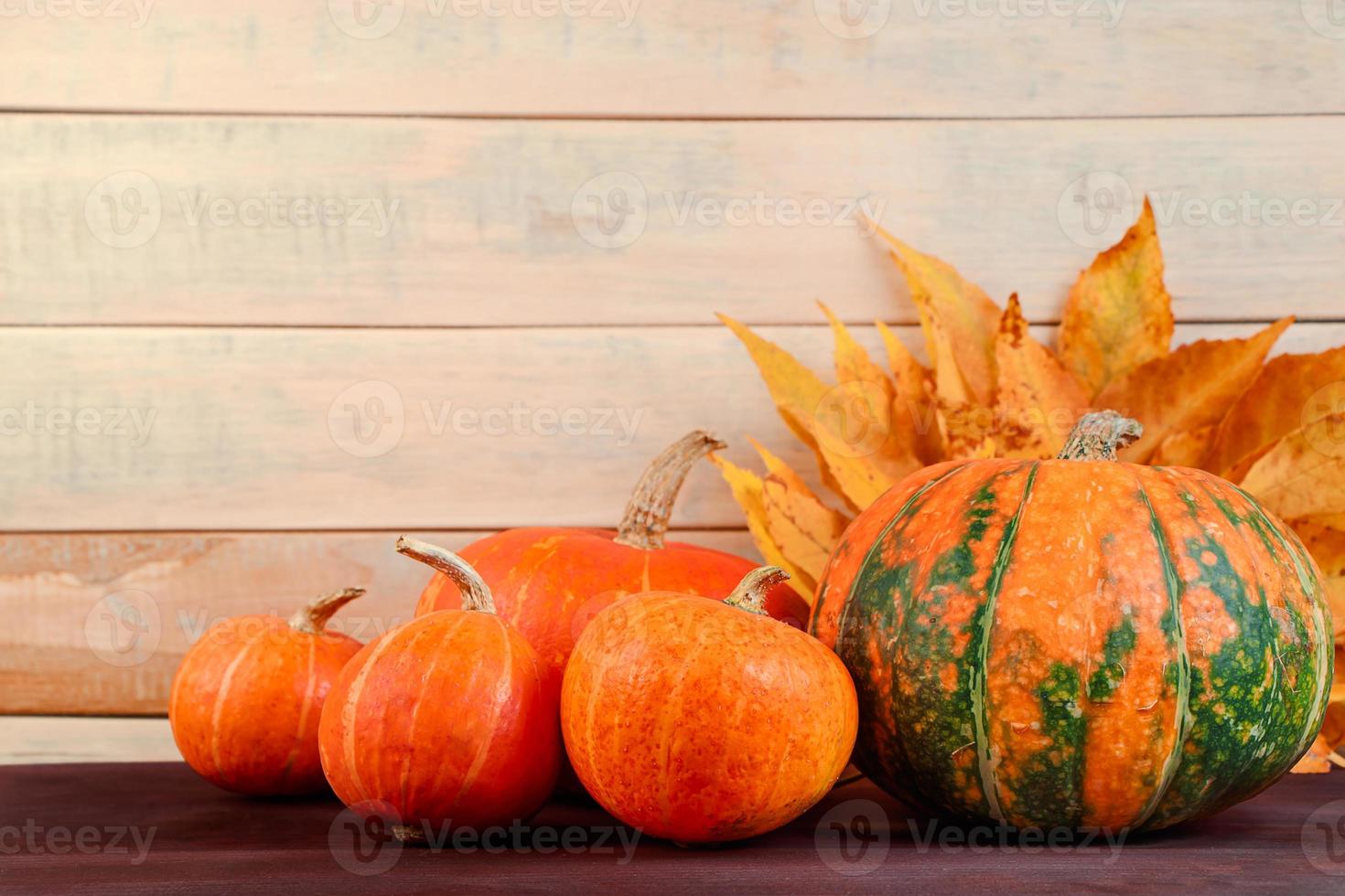 récolte d'automne. citrouilles mûres et feuilles tombées sur fond en bois. concept d'action de grâces et d'halloween. photo