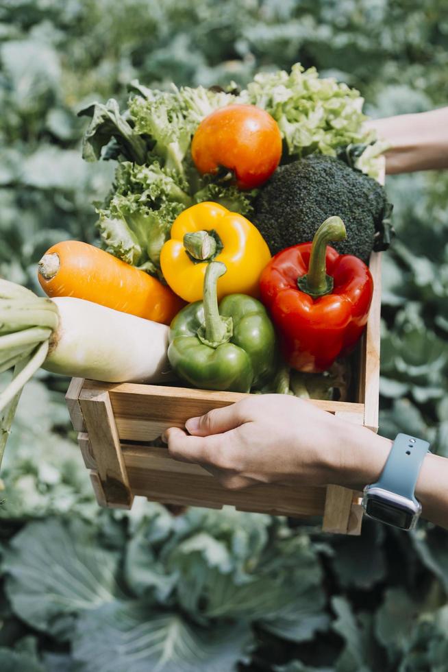 agricultrice travaillant tôt à la ferme tenant un panier en bois de légumes frais et une tablette photo