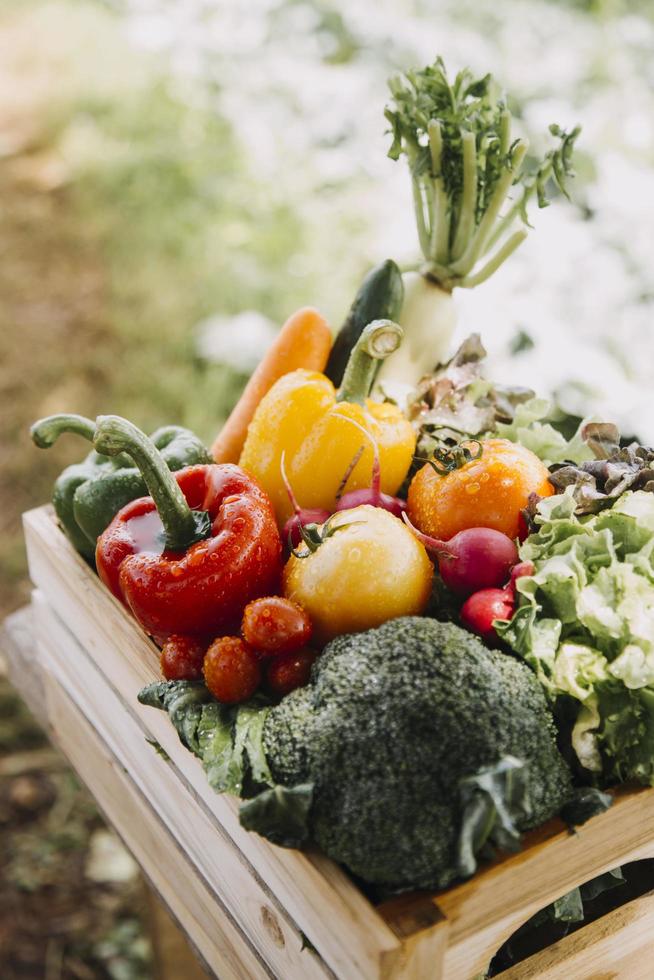 agricultrice travaillant tôt à la ferme tenant un panier en bois de légumes frais et une tablette photo