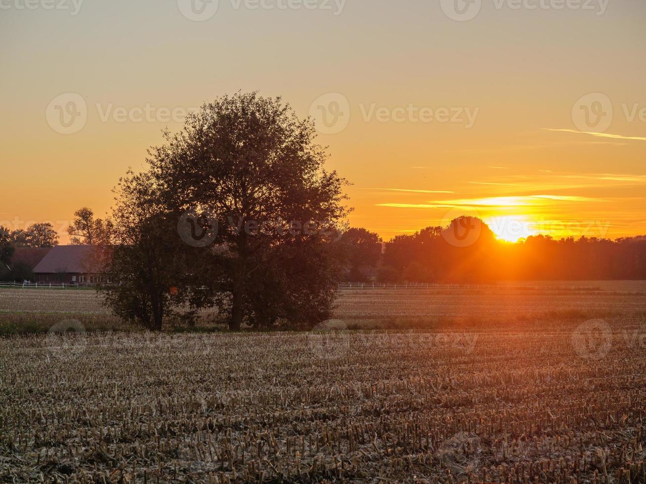 coucher du soleil dans le muensterland allemand photo