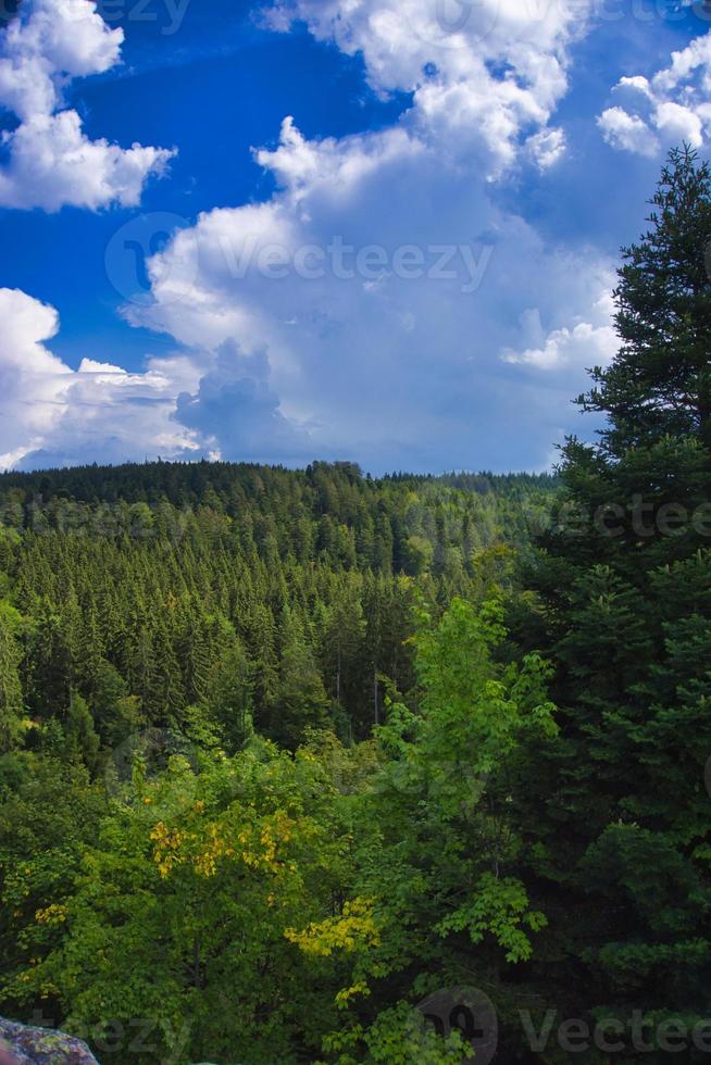 vue depuis le barrage de schwarzebach - forrest noire - allemagne photo