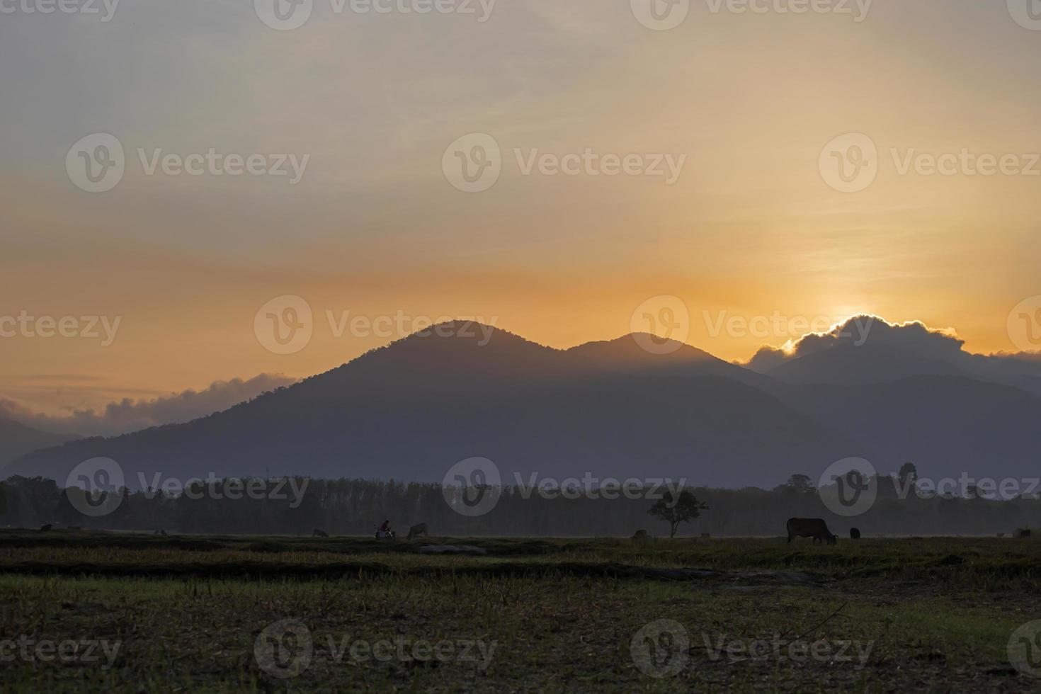 soleil du matin dans le champ photo