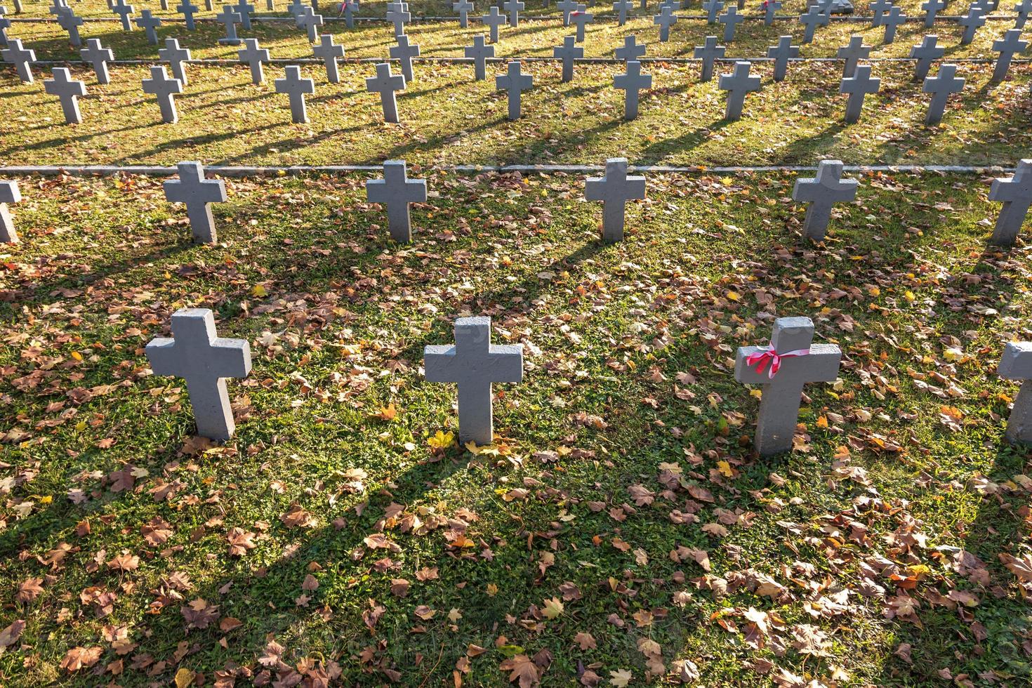 de nombreuses croix grises identiques dans le cimetière militaire polonais. l'automne et le coucher du soleil de la vie. lutte pour la congrégation et l'indépendance de la patrie photo