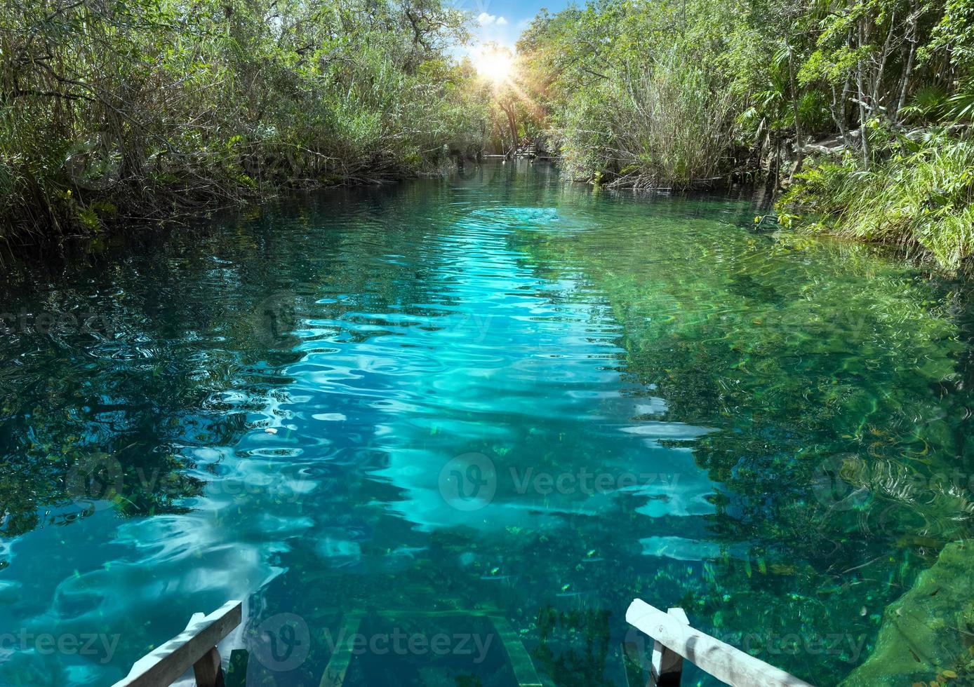 destination touristique du mexique, grottes et piscines de cenote escondido près de tulum et playa del carmen photo