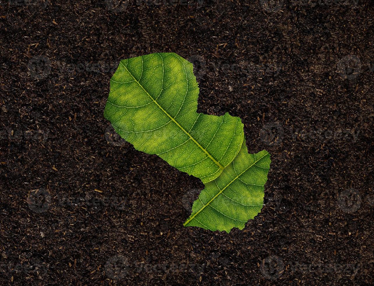 carte de la sierra leone faite de feuilles vertes sur le concept d'écologie de fond de sol photo