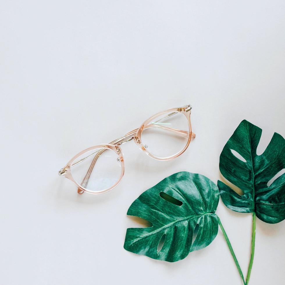 lunettes et feuilles de palmier vert sur fond gris, style minmal avec concept de printemps photo