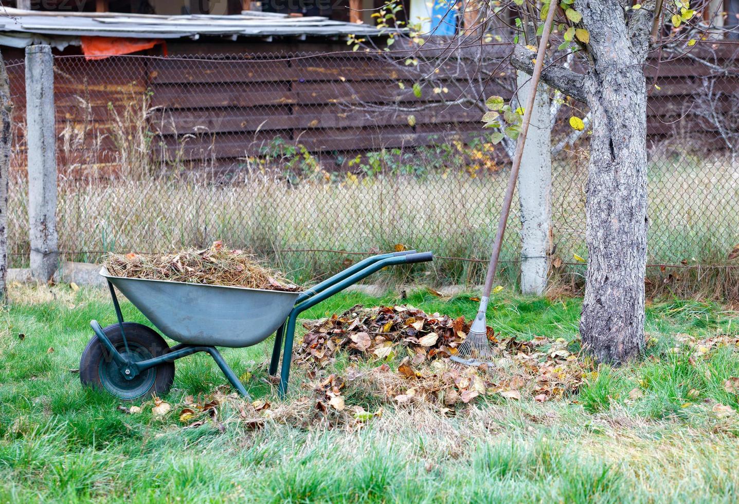 une brouette de jardin est remplie de feuilles mortes et d'herbe sèche dans un jardin d'automne. photo