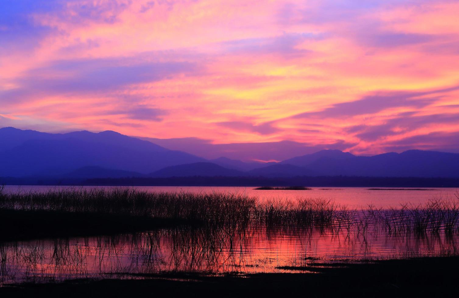 coucher de soleil silhouette arbre sur le lac photo