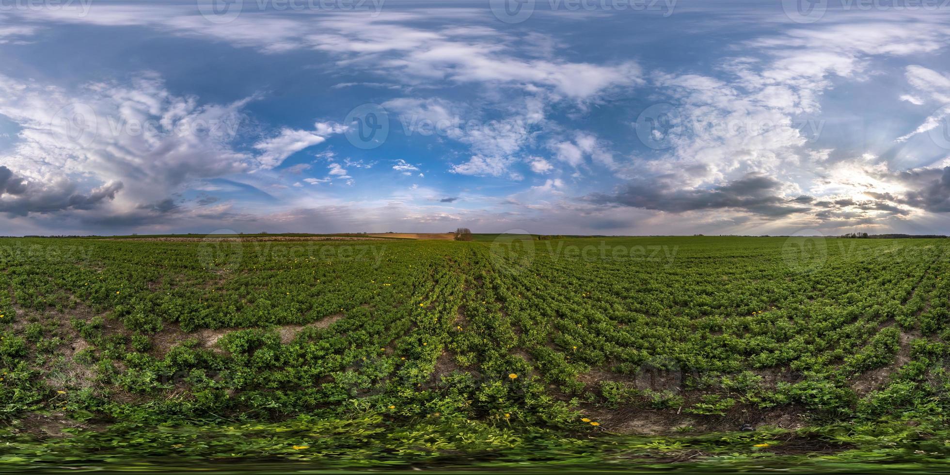 panorama hdri sphérique complet et harmonieux vue à 360 degrés sur parmi les champs le soir du printemps avec des nuages impressionnants en projection équirectangulaire, prêt pour le contenu de réalité virtuelle vr ar photo