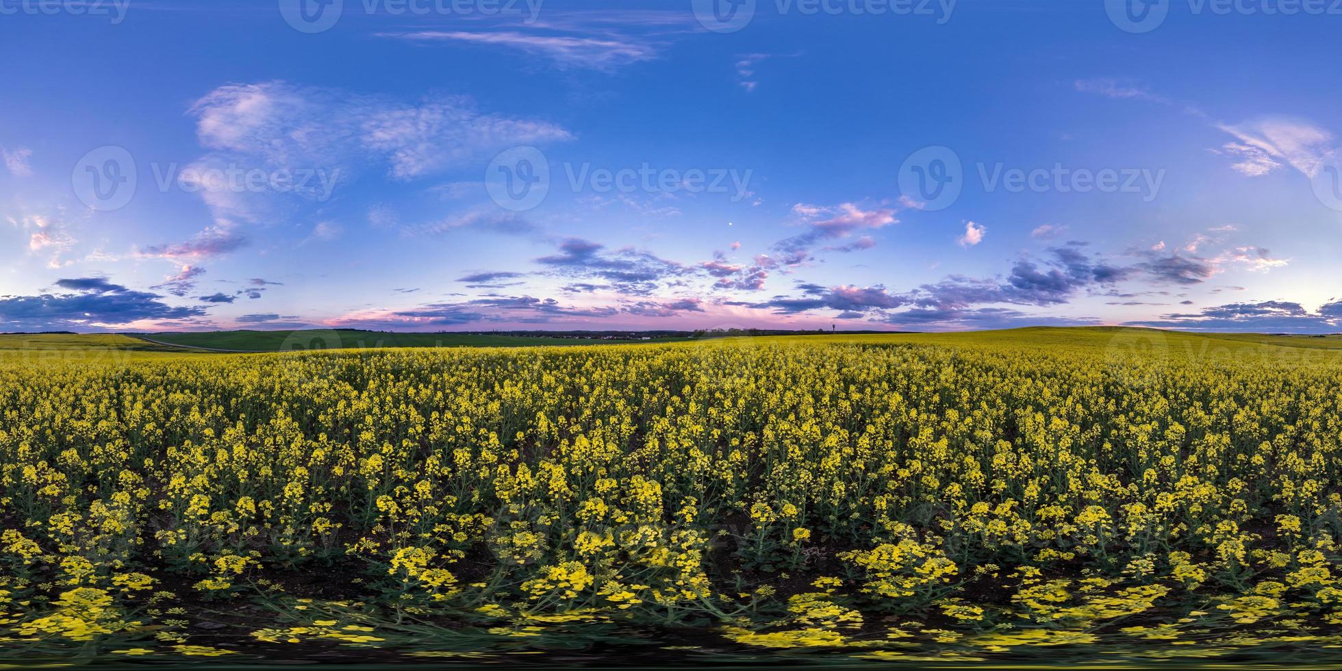 panorama hdri sphérique complet et harmonieux à 360 degrés sur les champs de colza de canola de colza au printemps avec ciel du soir en projection équirectangulaire, prêt pour le contenu de réalité virtuelle vr ar photo