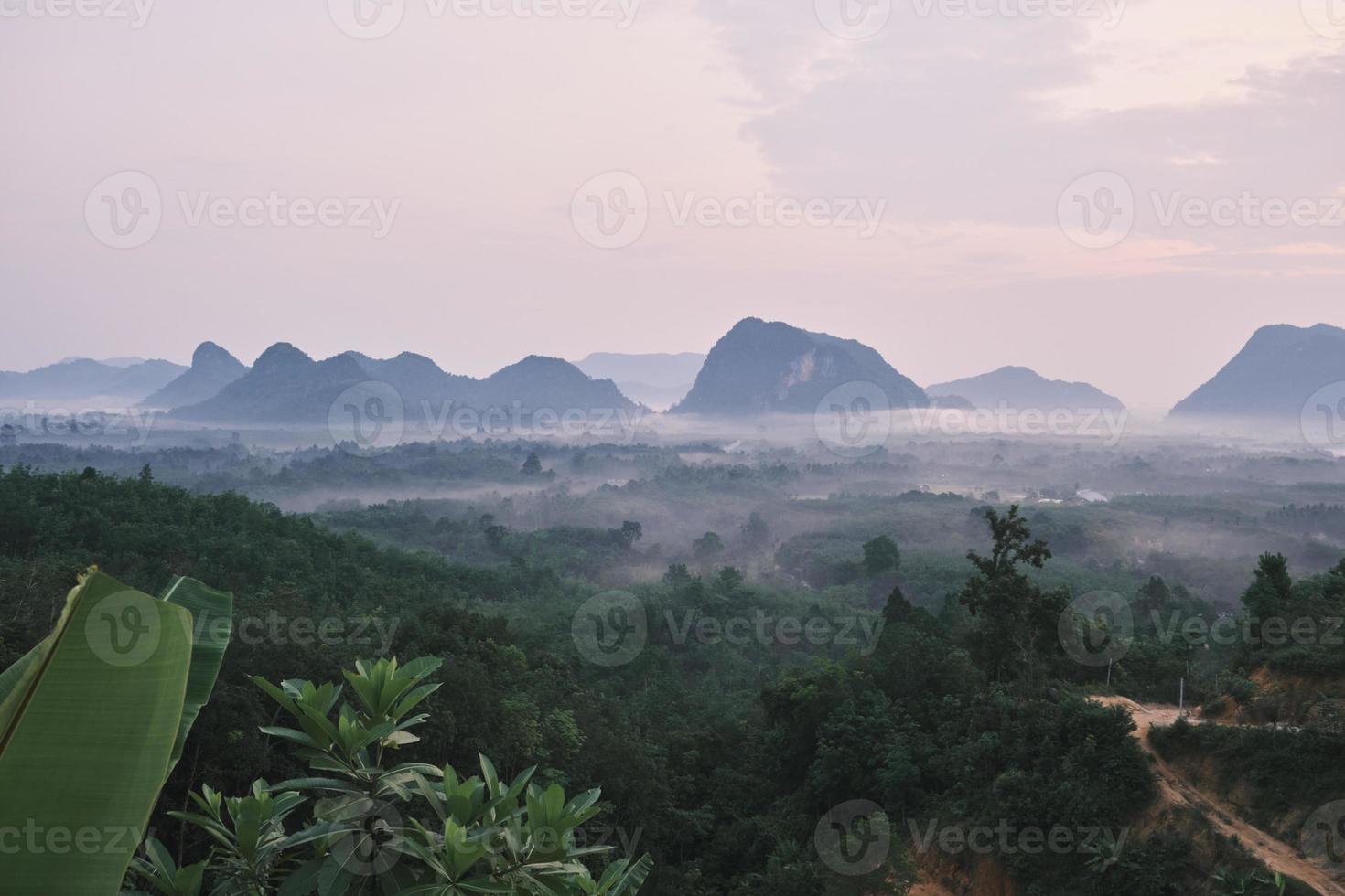 paysage panoramique de fond de paysage naturel tropical tranquille dans le brouillard, vue sur la forêt verte dans une chaîne de montagnes, à l'aube avec le lever du soleil, bel environnement extérieur, destination de voyage en asie. photo