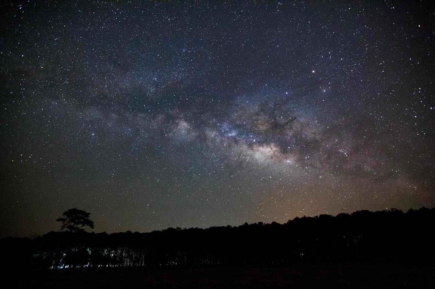 galaxie de la voie lactée et silhouette d'arbre avec nuage.photographie d'exposition longue.avec grain photo