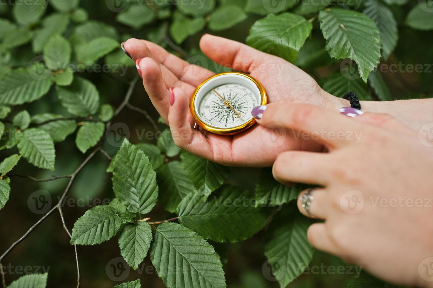 photo en gros plan de mains féminines avec boussole à côté d'une branche d'arbre.