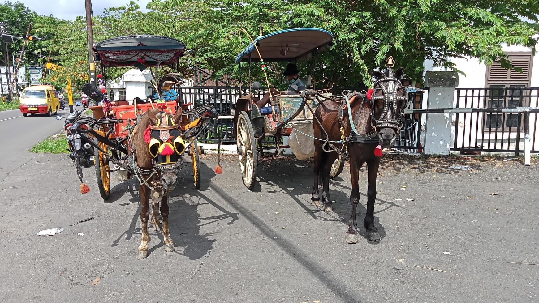 transport de chevaux traditionnel javanais photo