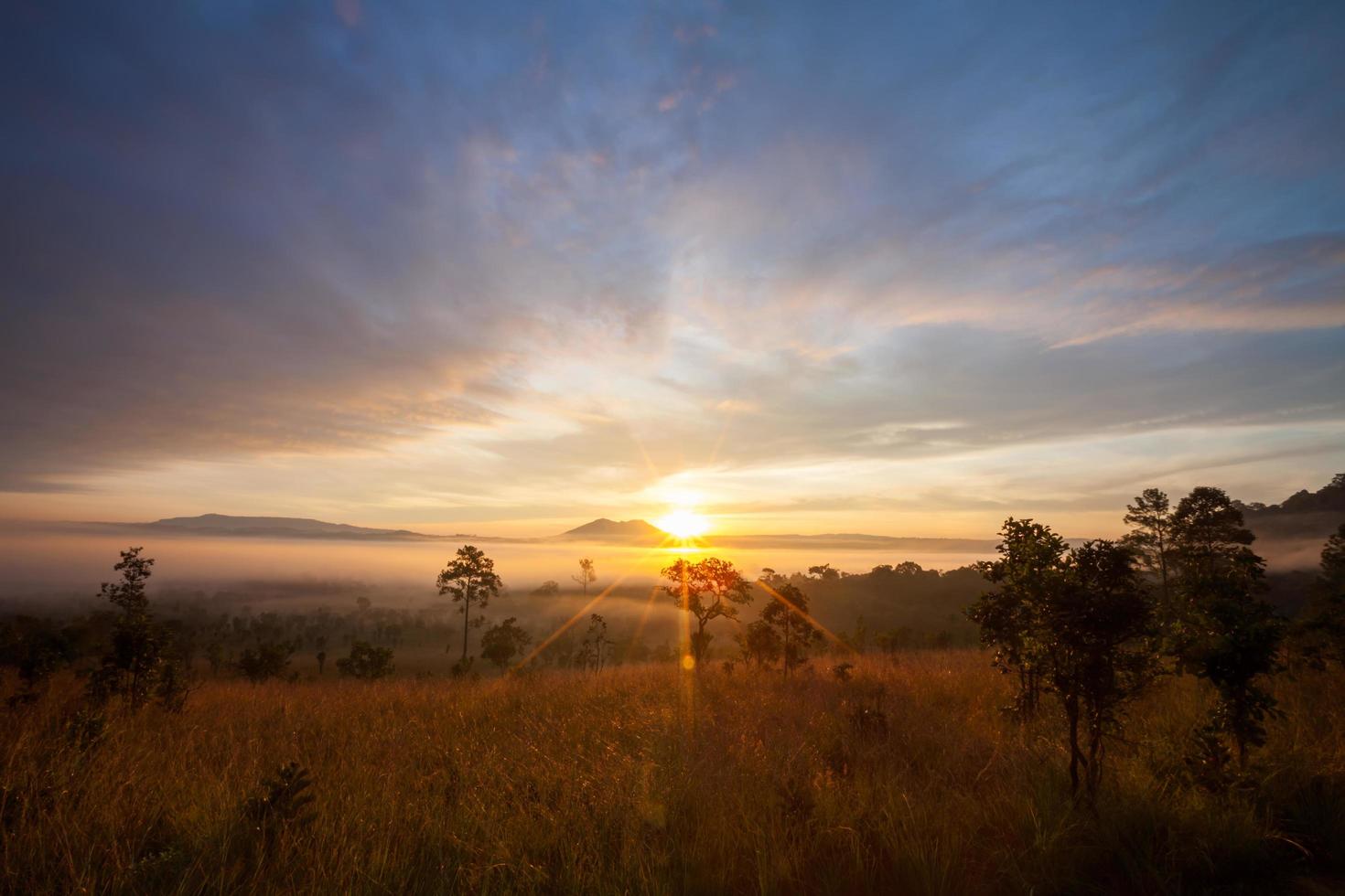 lever du soleil matinal brumeux au parc national de thung salang luang phetchabun, tung slang luang est une savane herbeuse en thaïlande. photo