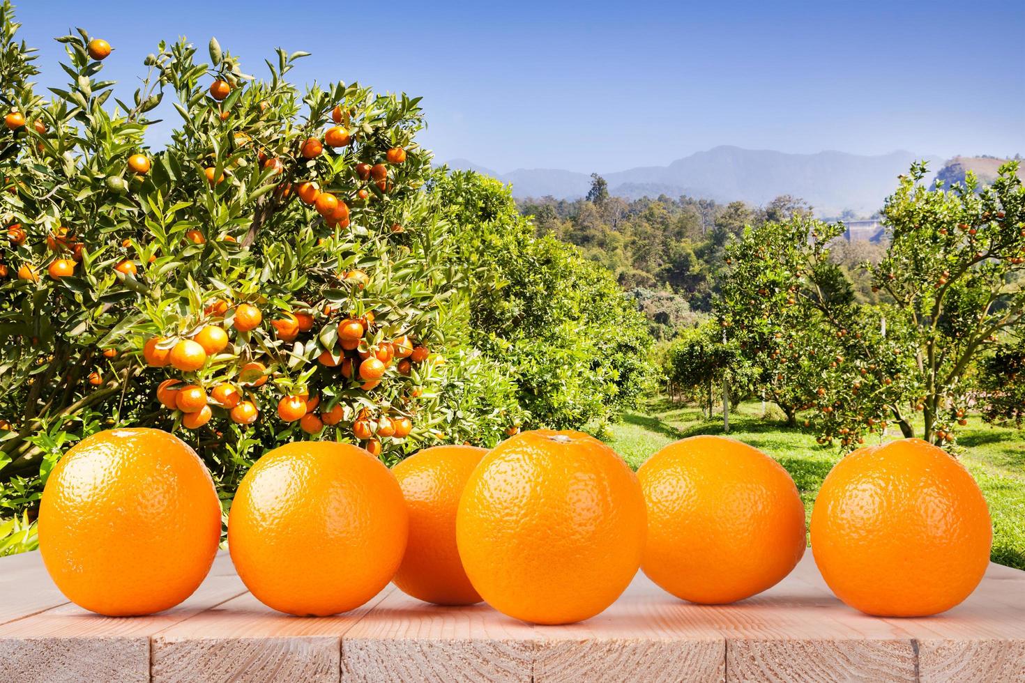 Orange fraîche sur table en bois dans le jardin photo