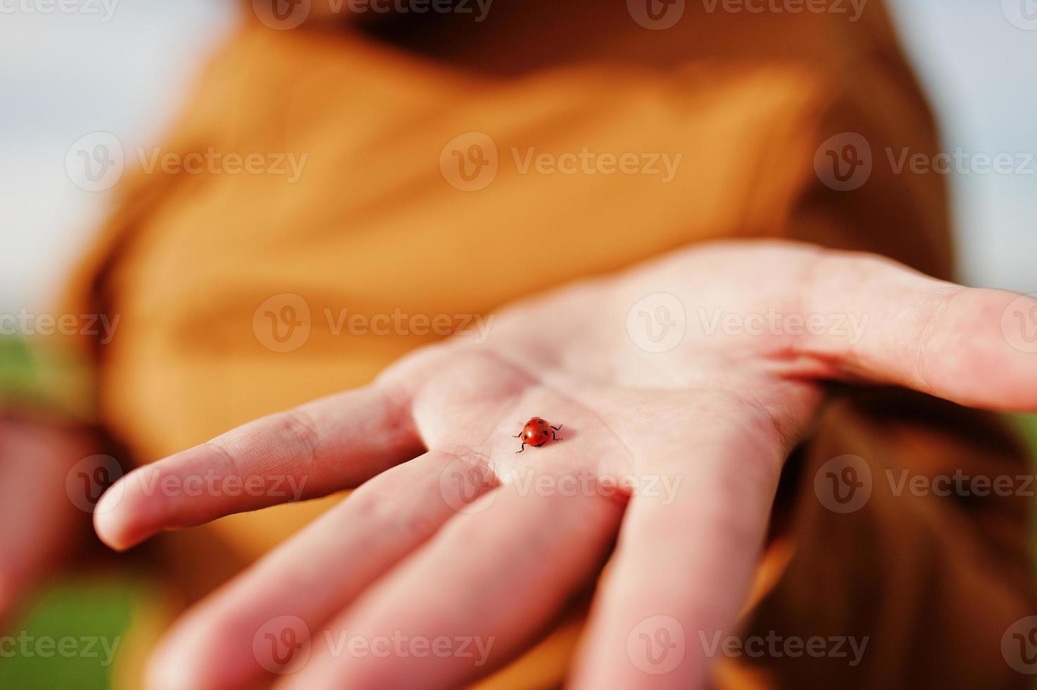 homme élégant à lunettes, veste marron et chapeau posé sur un champ vert et tenant à portée de main une coccinelle. photo