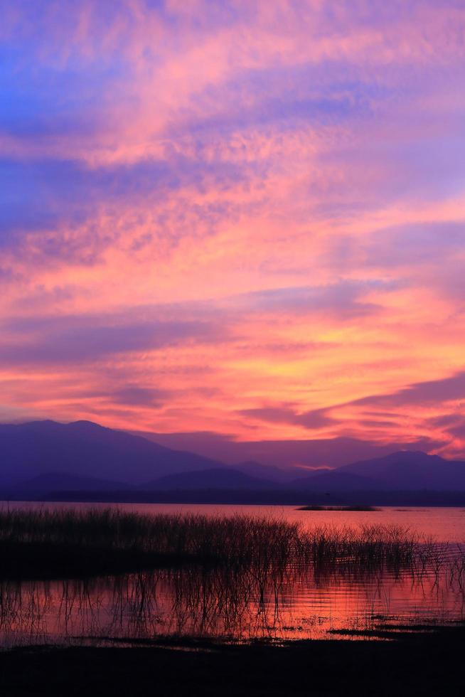 coucher de soleil silhouette arbre sur le lac photo