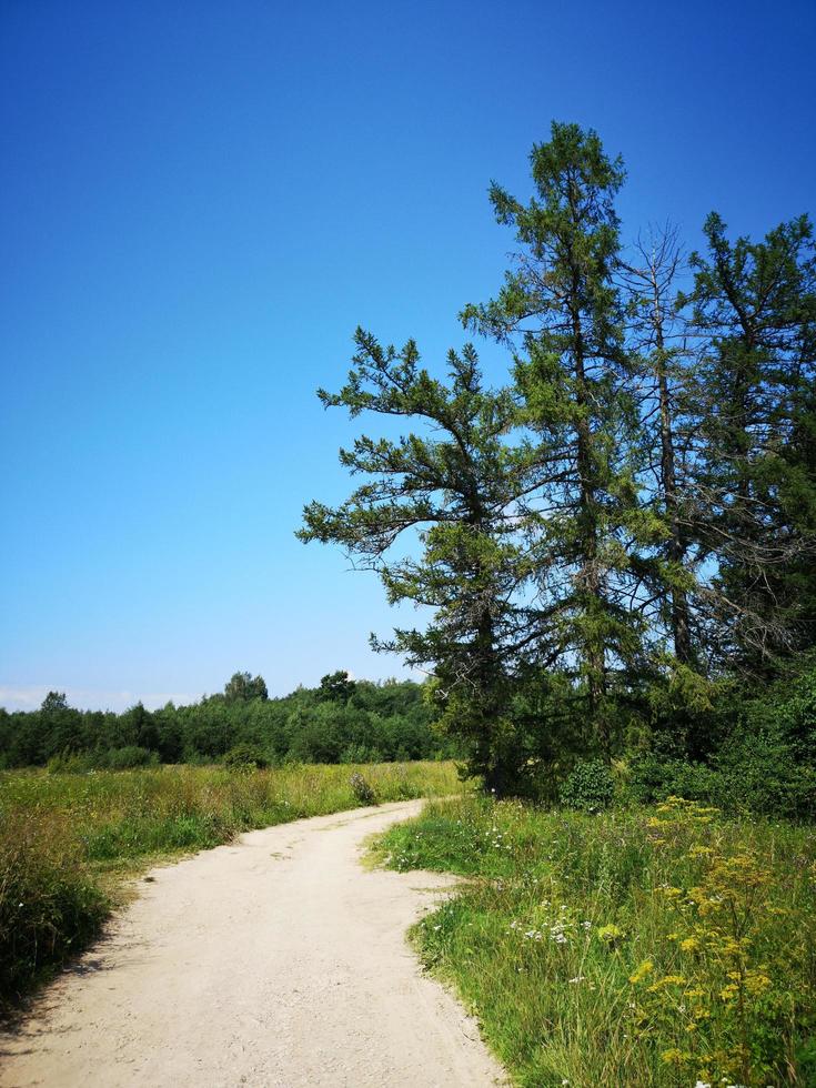 une route au milieu d'un champ photo