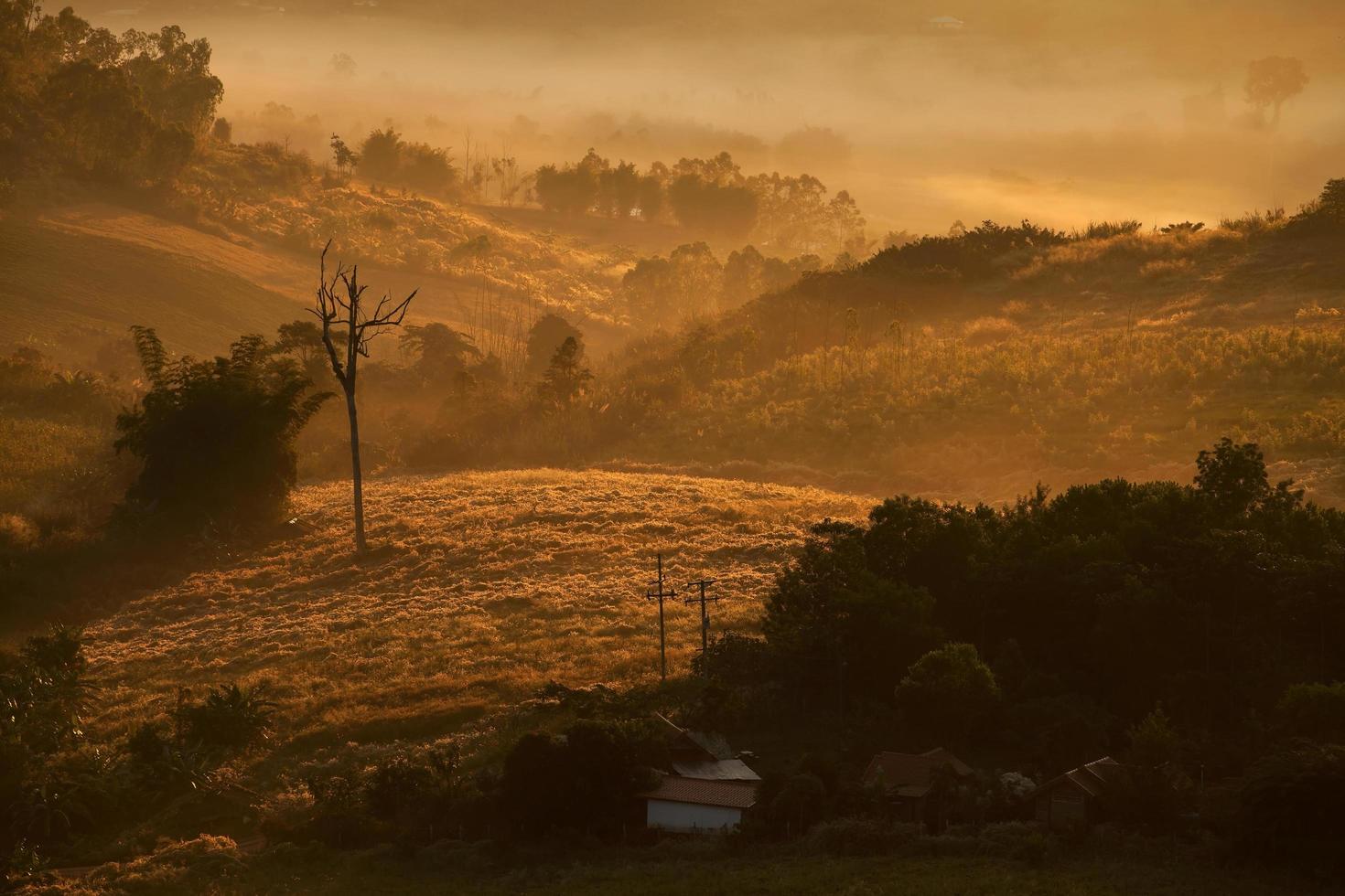 maison à la campagne avec brouillard au lever du soleil du matin photo