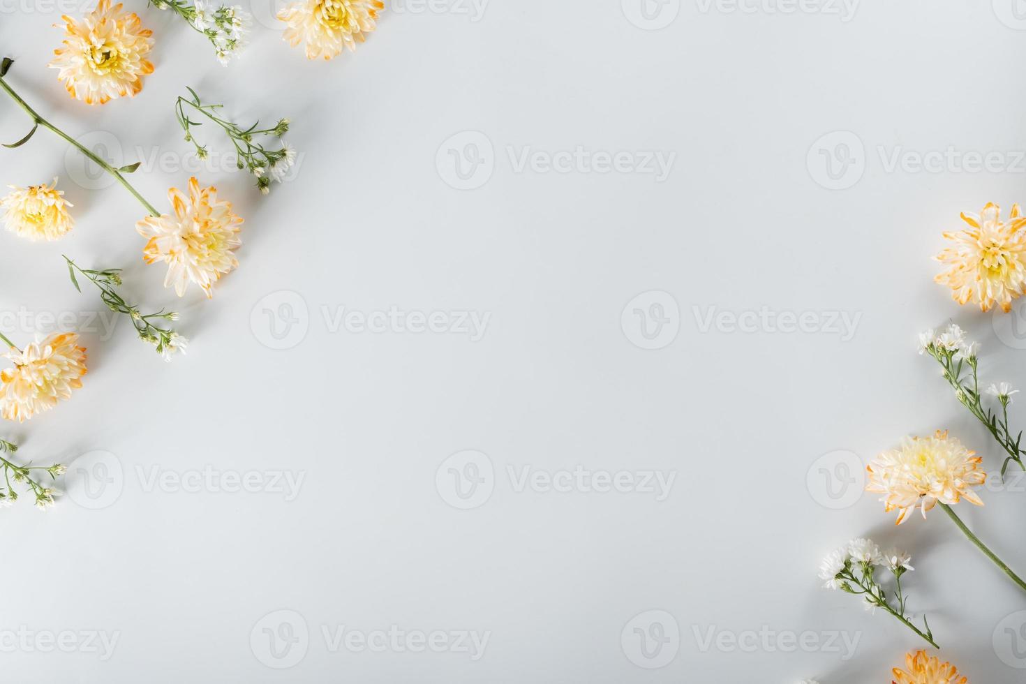 composition de fleurs de chrysanthème et de coupeur. motif et cadre faits de diverses fleurs jaunes ou oranges et de feuilles vertes sur fond blanc. mise à plat, vue de dessus, espace de copie, printemps, concept d'été. photo