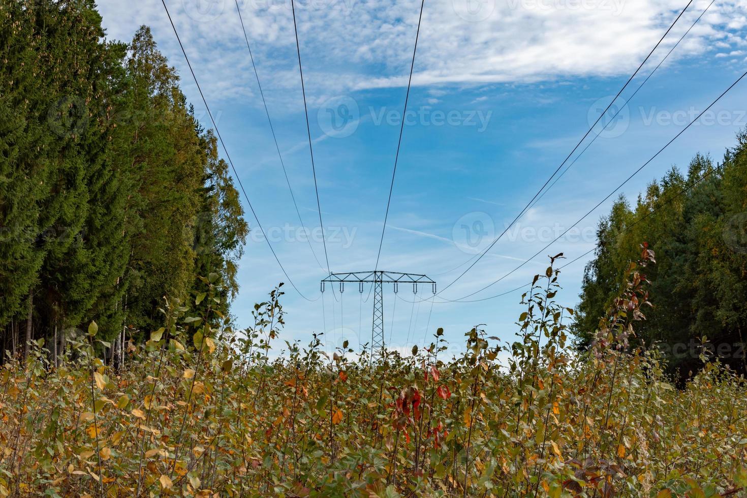 lignes électriques à haute tension dans la campagne photo