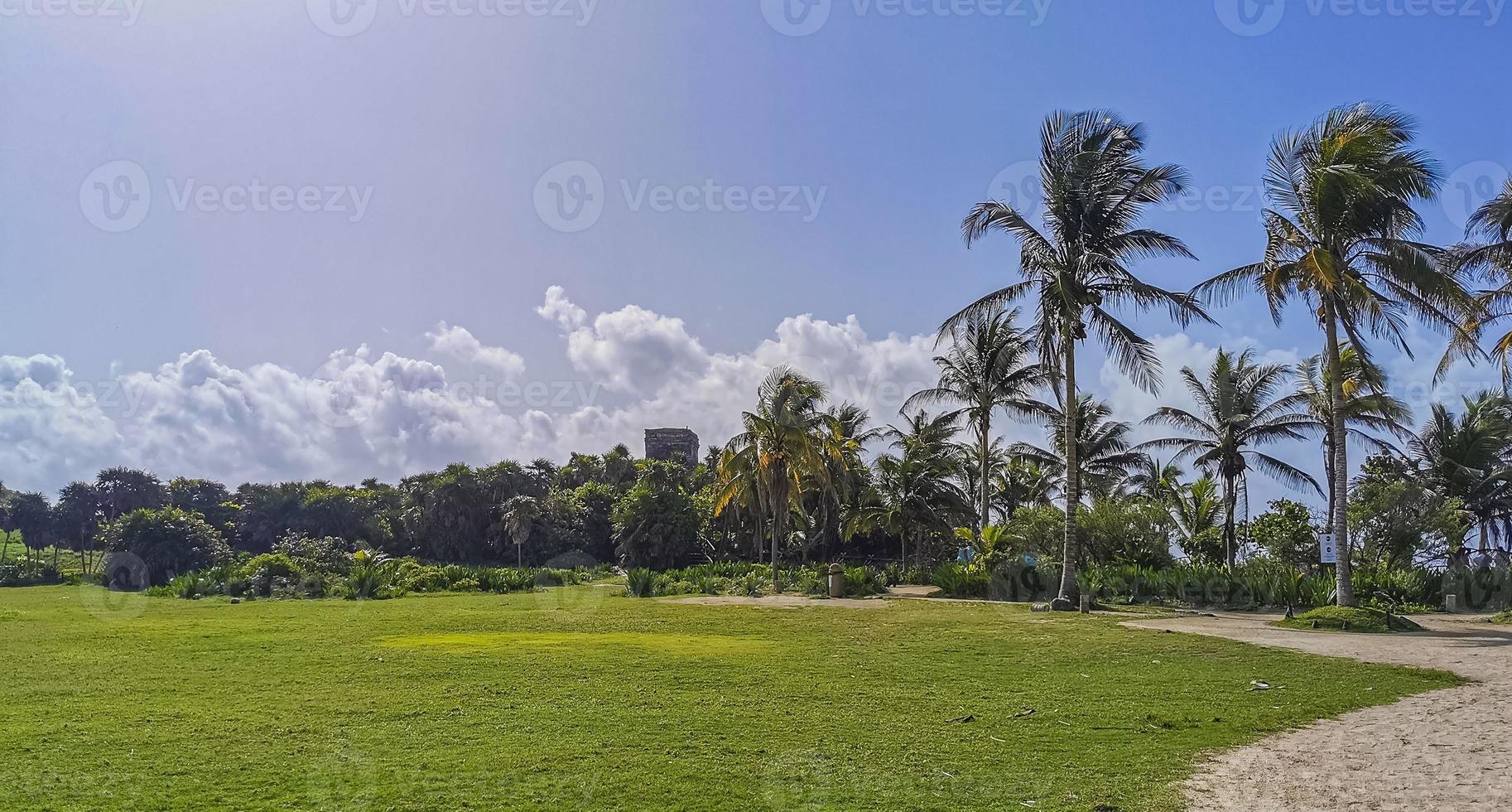 ruines antiques de tulum site maya temple pyramides artefacts paysage marin mexique. photo