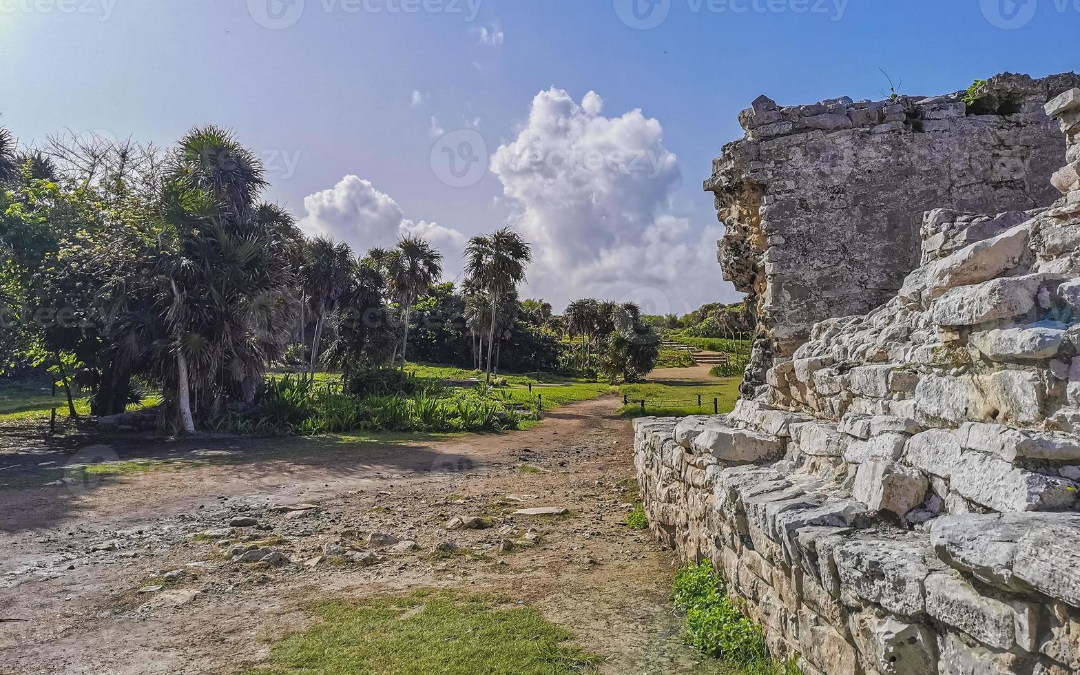 ruines antiques de tulum site maya temple pyramides artefacts paysage marin mexique. photo